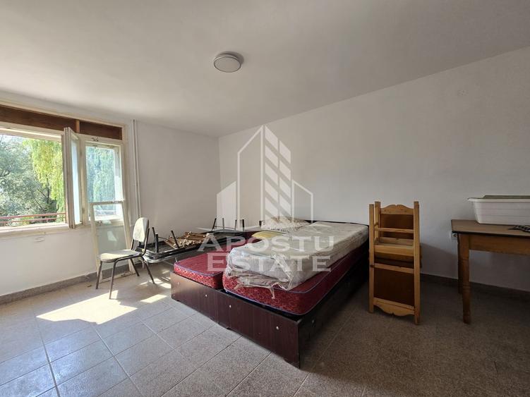Casa de vanzare, potential pensiune, pe malul Timisului,Sag,comision 0