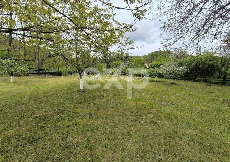 Casă deosebită 5 camere, 2100 mp teren, livadă – Mălureni, Argeș - 8