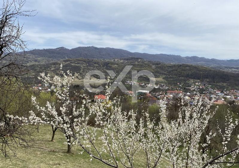 Oportunitate investiție în Corbi, Argeș | 22.000 mp teren în zonă de poveste