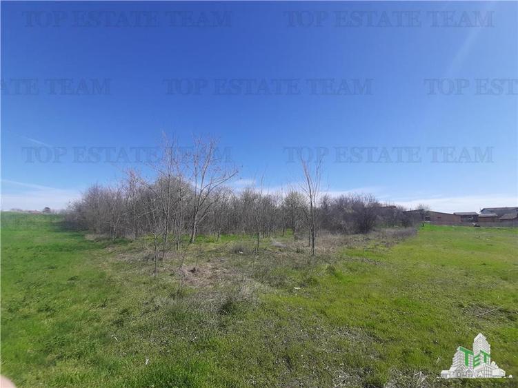 Teren 4000 mp + casa demolabila in Bragadiru/Varteju (Magurele)
