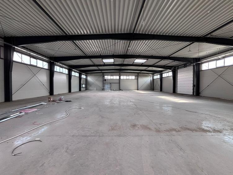 Hală industrială nouă depozitare de inchiriat Zona Industrială Sânandrei DN69