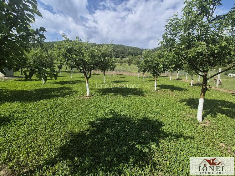 Teren intravilan (2292mp) de vanzare in Vintu de Jos - 8