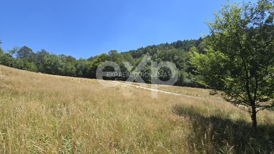36.200 mp teren | Poiana Mărului | Platou | Apă și curent | 1 km de Sergiana - 8