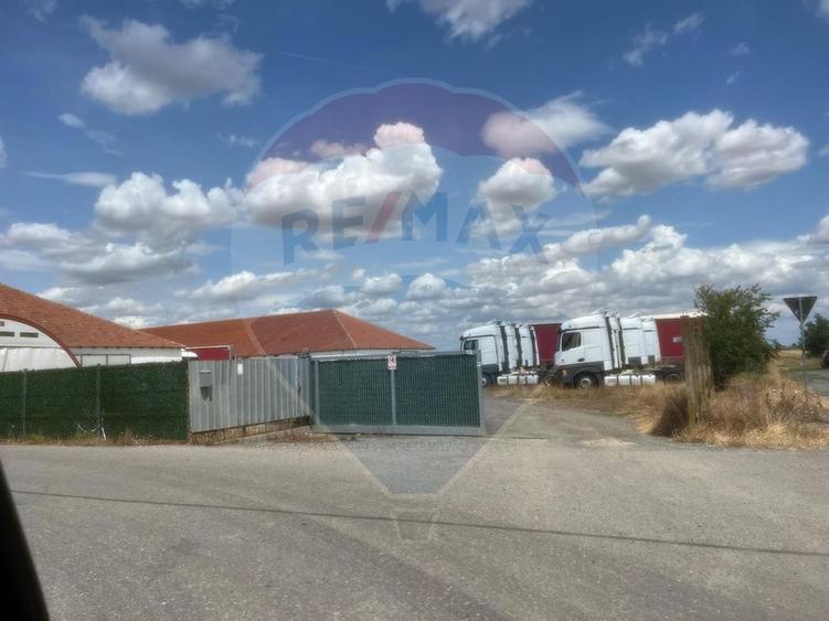 Spațiu Industrial de tip cort de Închiriat | Sofronea, Arad