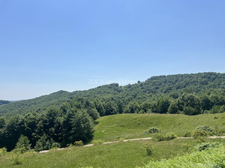 Investiție Turism | Casă | 5164 mp teren | Lac Propriu | Malu cu Flori - 17
