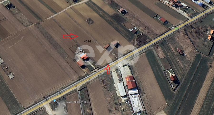 Teren intravilan 4514 mp de vânzare, Luizi Călugara
