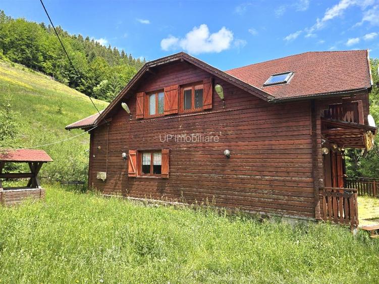 CABANA DE VANZARE | 6 CAMERE | TEREN 1.761 MP | IZLAZ, ARIESENI - 22