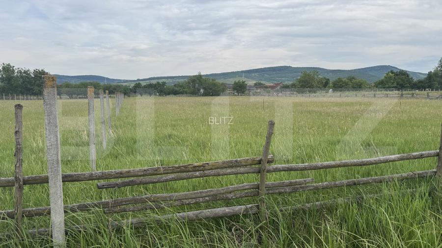 1100 mp de teren intravilan în Livezile, perfect pentru construcție - 3