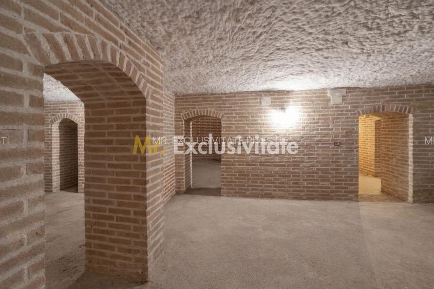 Vila impunătoare in stil italian - Ștefănești, Argeș - 9
