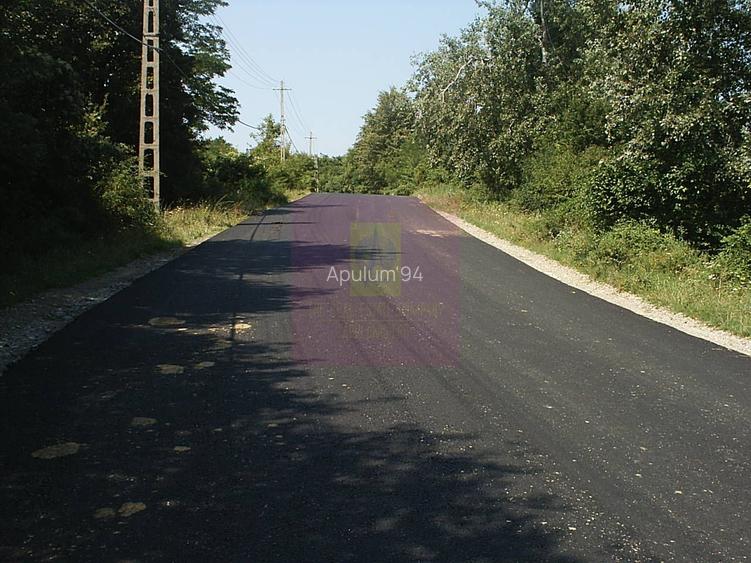 Teren intravilan de vanzare in Telega - 12