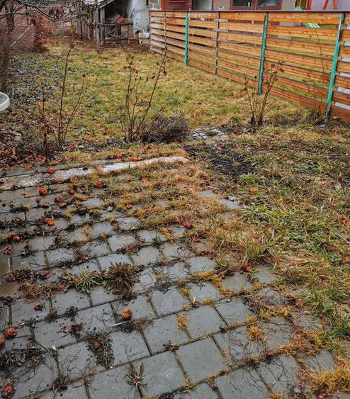 Case de vanzare in M-Ciuc