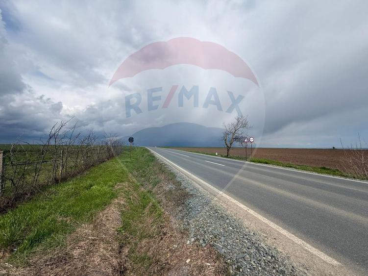 Teren de vanzare in Săcele ideal pentru silozuri, fermă 6 ha