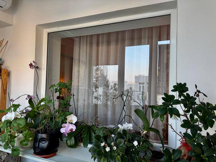 Apartament 4 camere - Pajura / Zona Nord