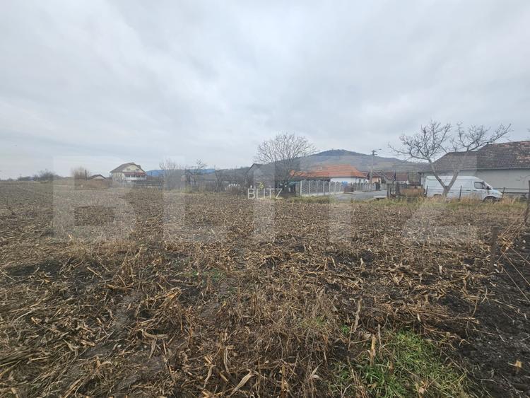 Teren extravilan 9000 mp, Ocna Mureș - 3