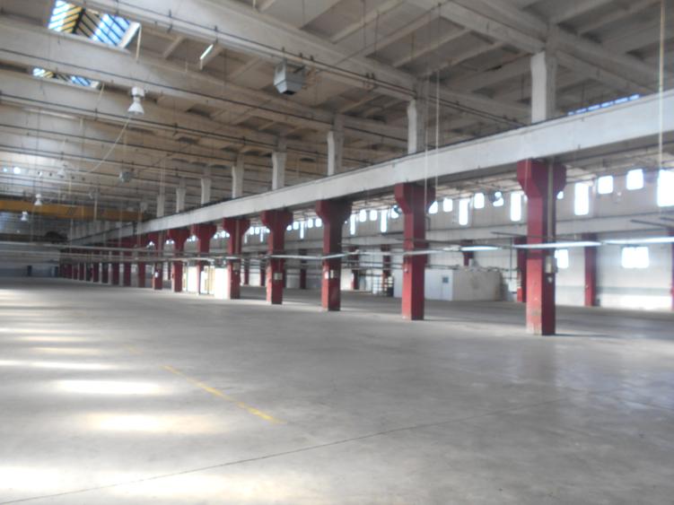 Hala industriala cu pod rulant de inchiriat Lugoj