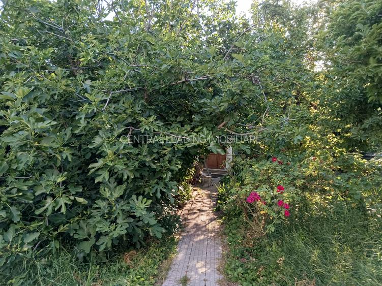 CASA SINGUR CURTE PARCUL CAROL TEREN IN PROPRIETATE 620MP POTENTIAL ENORM DIVERS - 2