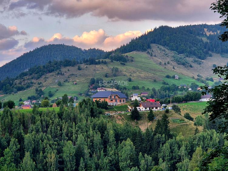 Teren extravilan 8635 mp, Pestera /Brasov - 2