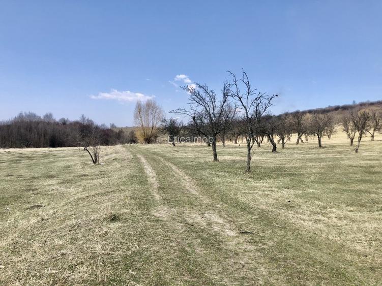 Vanzare teren intravilan- livezi - 3