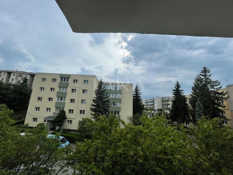 Garsonieră Zorilor, locuinta sau investiție, Gradina Botanica, UMF. - 12