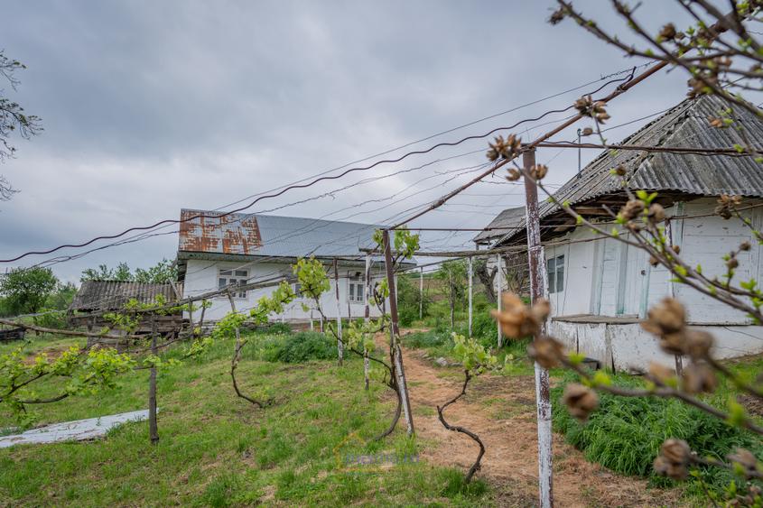 Casă din chirpici, bucătărie de vară și 1.34 ha de teren, Ardeoani