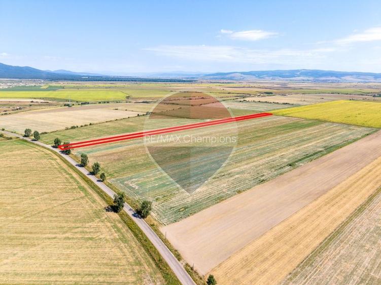 Teren 30,000mp Halchiu /Satul Nou - 5