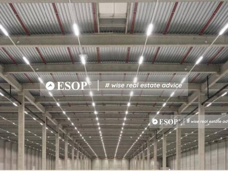 WDP Industrial Park Aricestii Rahtivani, hale, 3.000 - 65.000mp