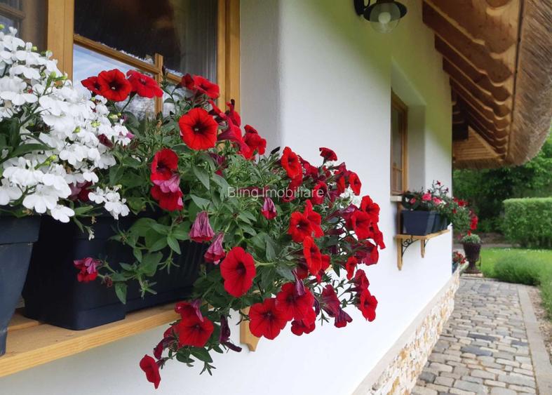 Casa in stil Taditional Romanesc , 170 mp, curte 500mp, strada privata  - 3