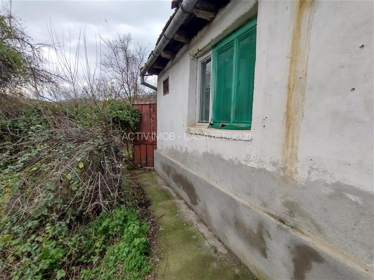 Bogodint, Casa cu 4 Hectare Teren, Pret Negociabil - 34