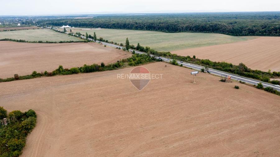 Teren intravilan  10.000mp Ciolpani, acces direct din DN1 - 9