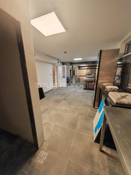 Duplex voluminos, perfect pentru un bussines sau o familie numeroasa