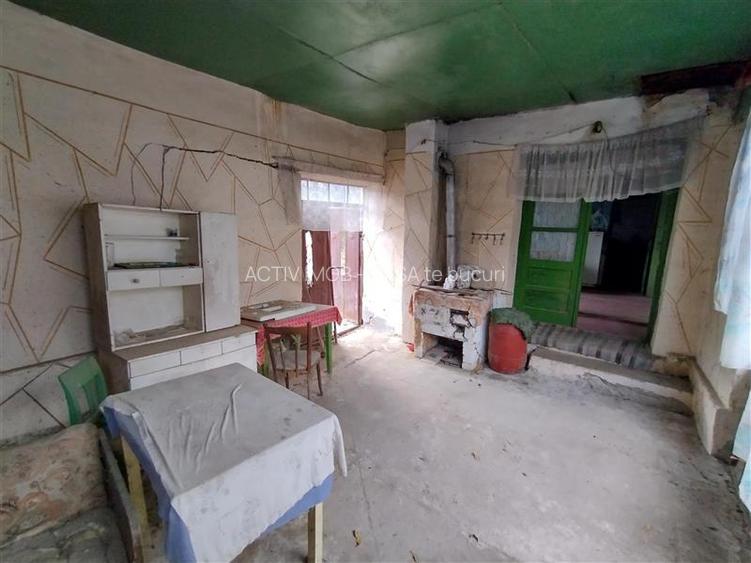 Bogodint, Casa cu 4 Hectare Teren, Pret Negociabil - 29