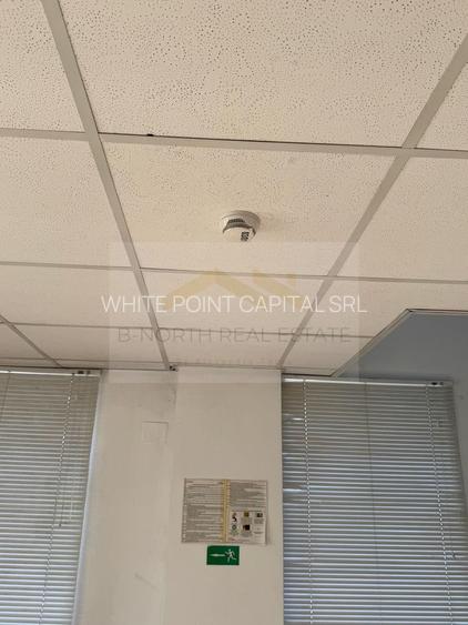 OTOPENI ODAILE HALA Productie si depozitare 1000 MP - 10
