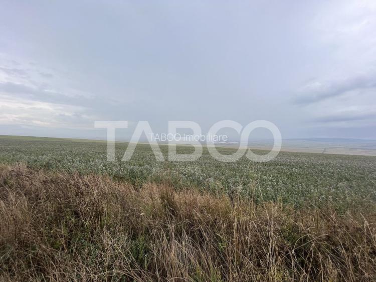 Teren de vanzare 30000 mp   60 ml deschidere Sura Mare Sibiu - 4