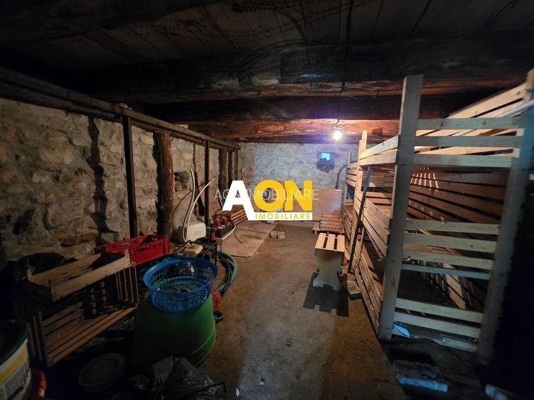 COMISION 0% Casa cu teren generos | 7050mp | Pianu de Sus - 14