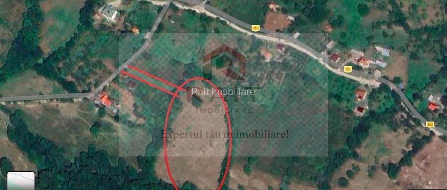 Teren extravilan de vânzare 11.740 mp Corbeni Turburea Argeș - 2