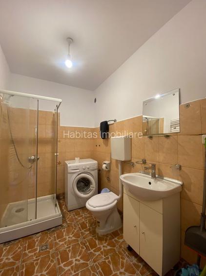 Apartament de inchiriat Ultracentral - O camera - Piata Muzeului - 4
