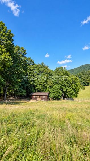 Vânzare teren extravilan pădure+ Pășune 17 000 mp Covasna - 6
