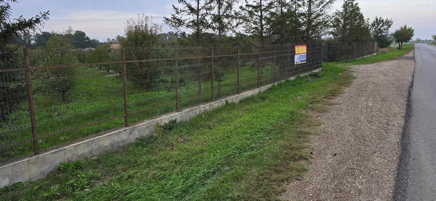 LIVADA DE VANZARE FOCSANI-DUMBRAVITA 1,8 HA