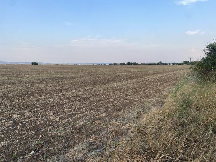Teren intravilan 29 000 mp, Paulesti. DN1.