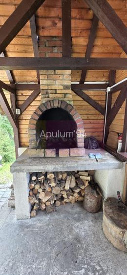 Vila din padure in Valea Doftanei - 29