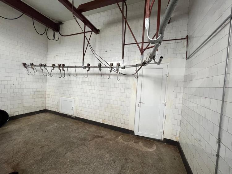 Ferma de bovine - oportunitate pentru investitori sau fermieri profesionisti