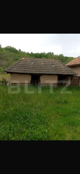 Casă cu 3 camere și un teren de 3000 mp, zona Cuzaplac