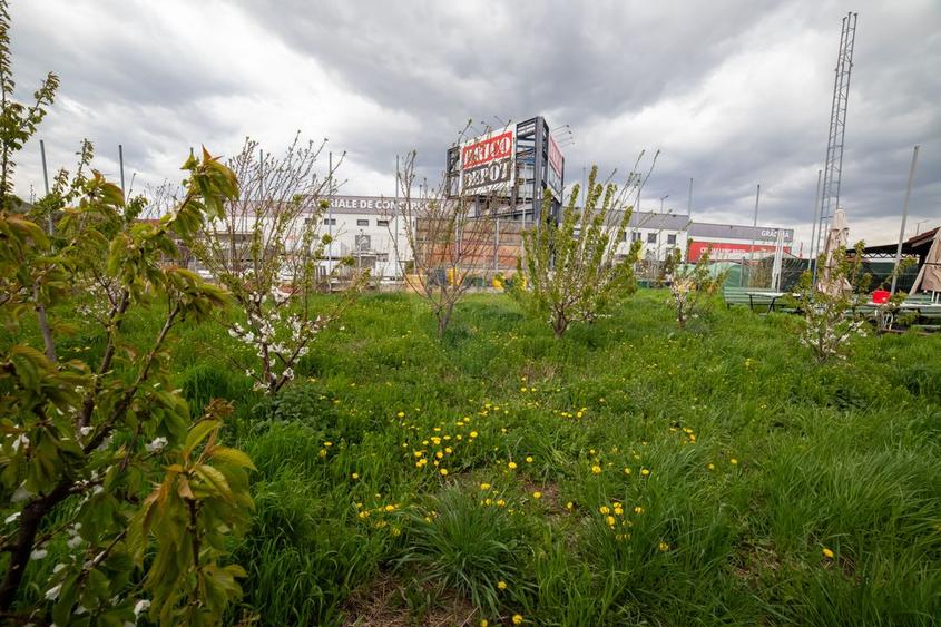 Hotel / Pensiune cu 21 camere de vânzare în zona Fermelor
