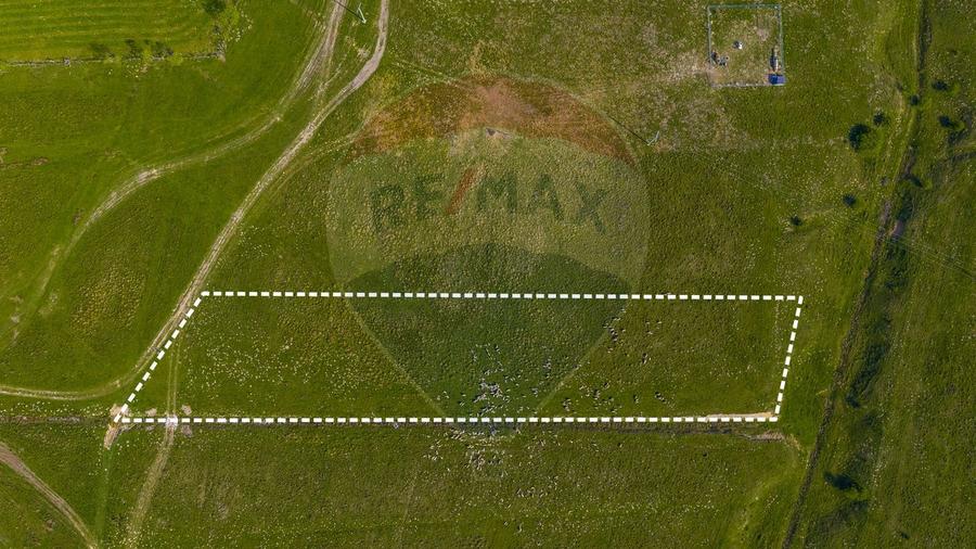 Teren 1ha, extravilan Rasnov / Agricultură sau fermă/ COMISION 0%
