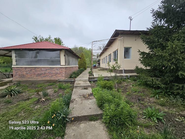 Colt de rai refugiul tău verde în inima naturii