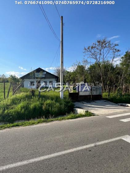 Casa + Teren aferent (4935 mp), Balanesti - Gorj - 3