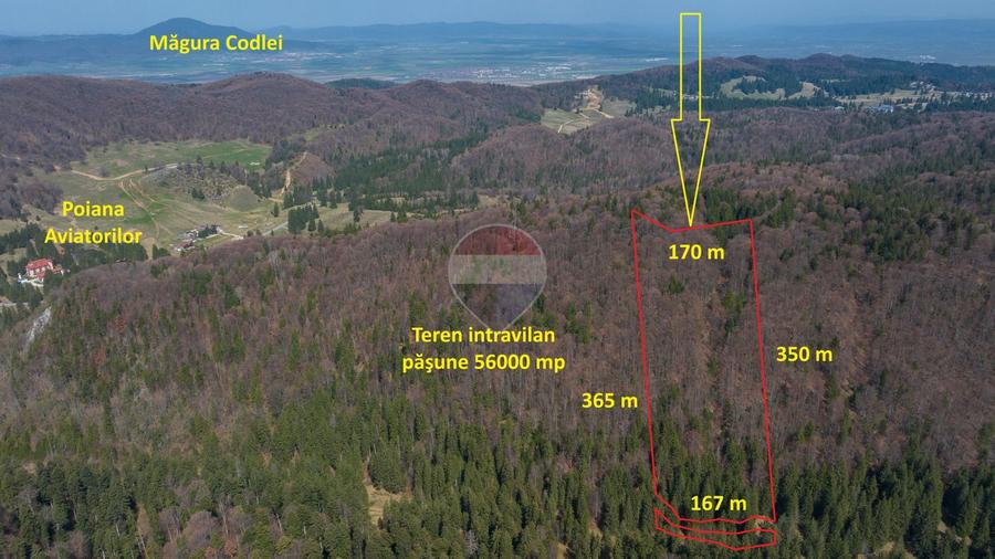Teren intravilan, 56000 mp, Poiana Brașov