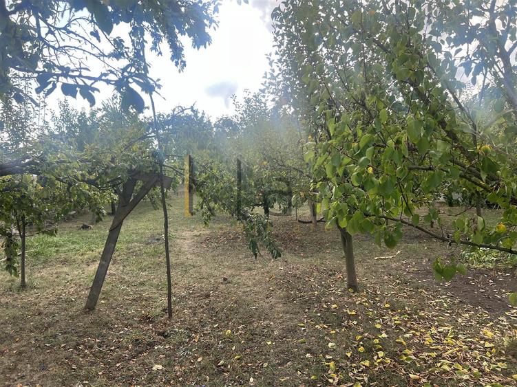 Casa cu 1400 mp teren in Dezmir
