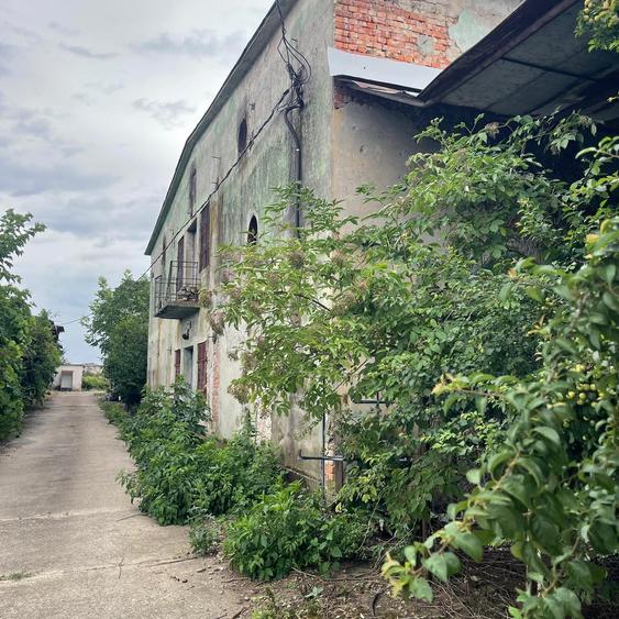 Complex industrial/Ferma de vânzare | Orțișoara, jud. Timiș