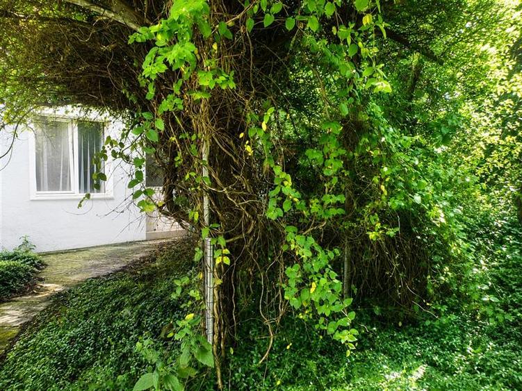 Casa saseasca, central, 2 corpuri, 9 camere, cu teren 2.826 mp, rezidential sau